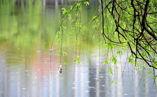 雨中的守护者 —— 甘德珍珠棉的应用实践